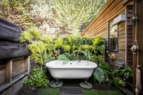 An outdoor bathtub, surrounded by wood and ferns.