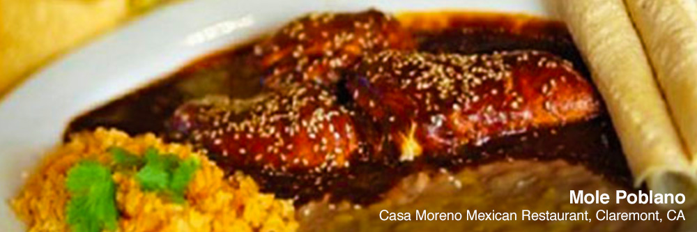 MexicanFood_Mole